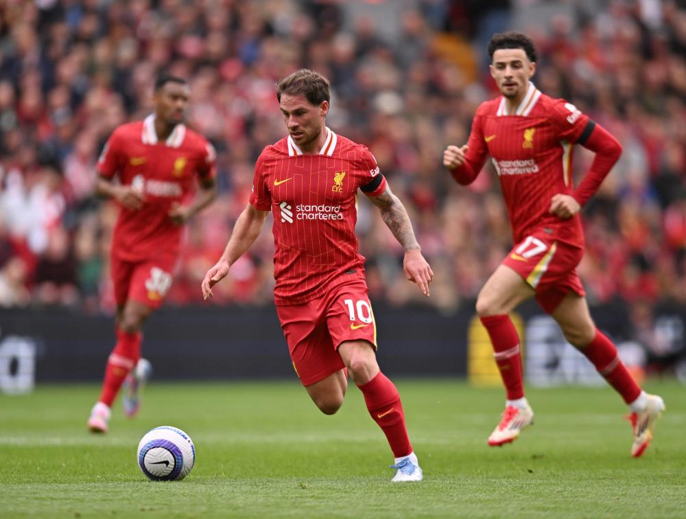 一种成熟的 一种成熟的